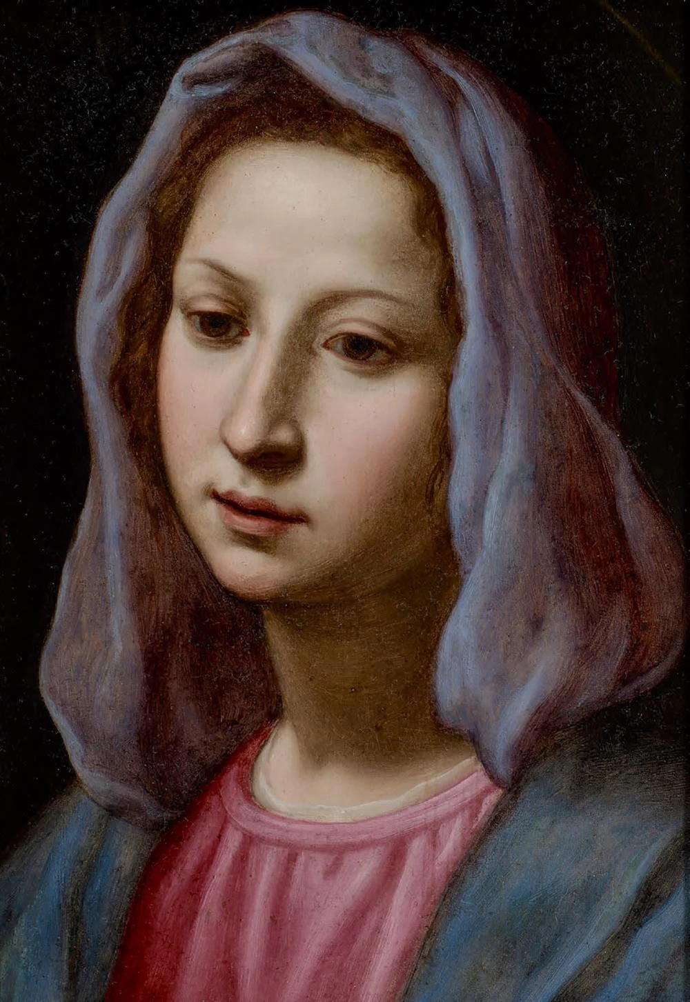 La Vergine Maria